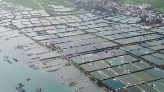 海建股份公司承建萬寧市退養還灘 與紅樹林生態保護修復工程修復生態效果顯著 接受海南新聞媒體采訪